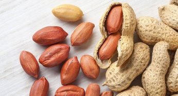 Chuyển phát nhanh lạc đi Pháp nhanh chóng, giá rẻ